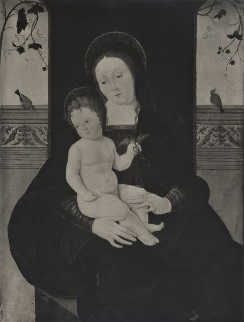 Anonimo — Anonimo emiliano - sec. XVI - Madonna con Bambino — insieme